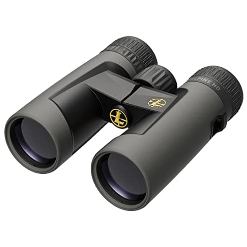 Leupold BX-2 Alpine HD 10x42 hunting optic