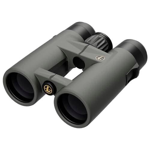 Leupold BX-4 Pro Guide HD 10x42 hunting optic