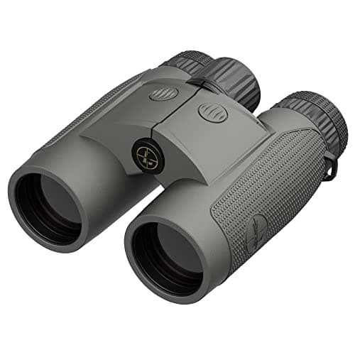 Leupold BX-4 Range HD TBR/W 10x42 hunting optic